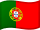 Português language flag